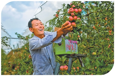 漫山遍野的绿，就是聚宝盆