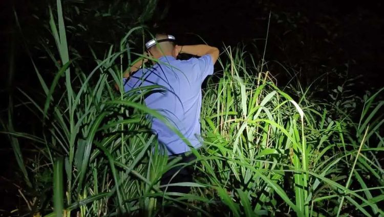 走着走着到安徽了？杭州两少年天池徒步迷路，两地警方跨省救援
