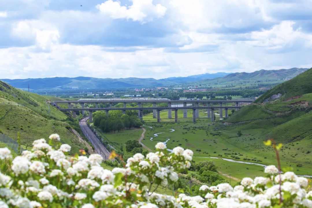 壁纸来袭！看火车行驶在草原“画廊”