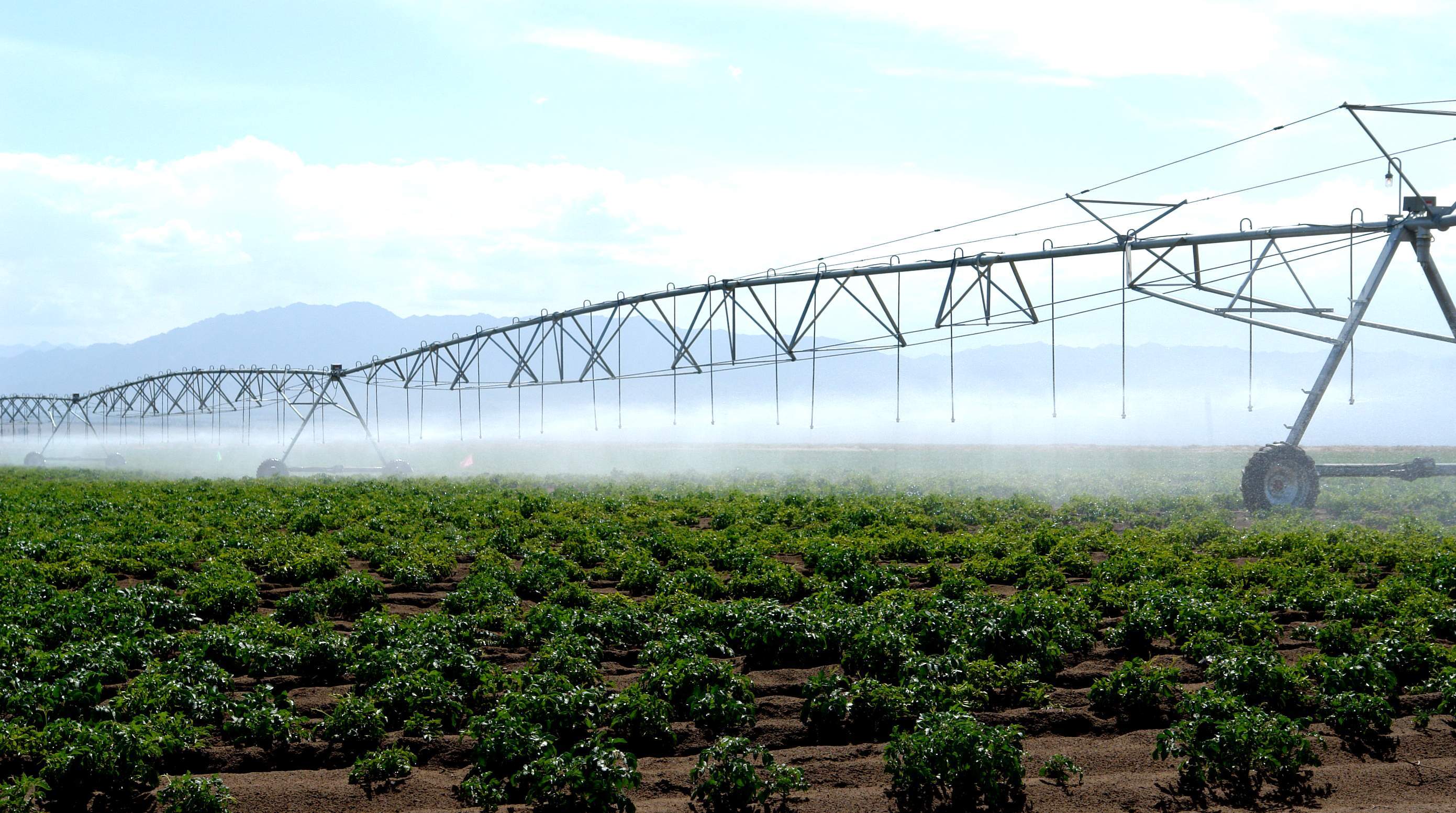 陇原大地，节水有道