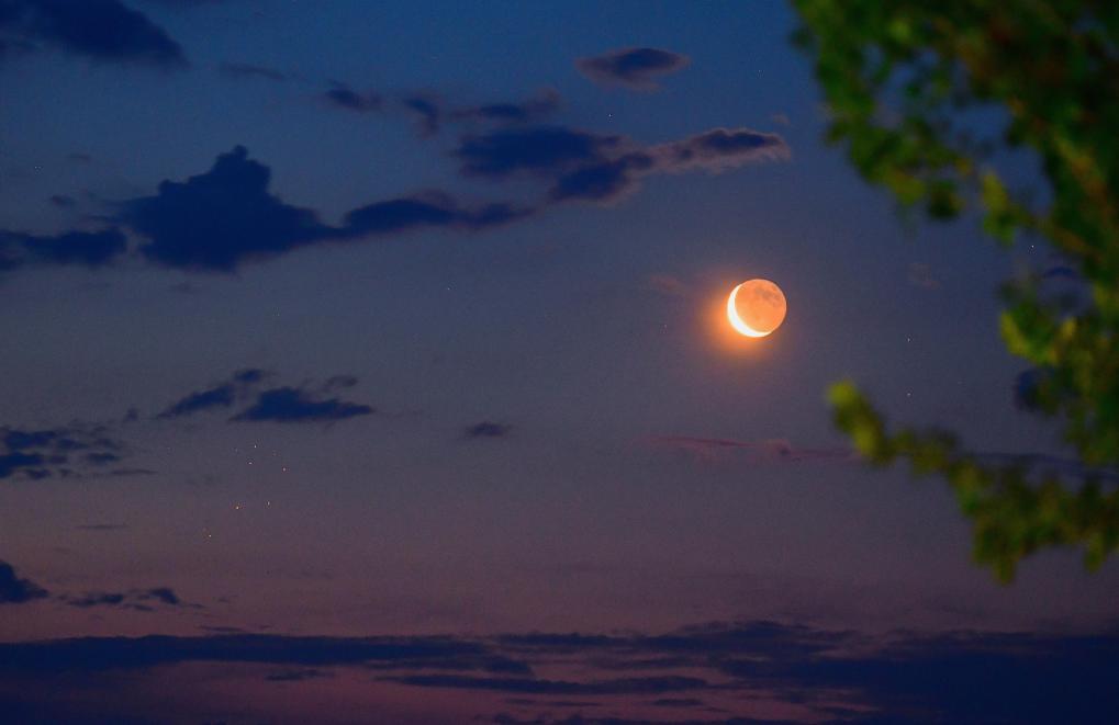 8月“星空剧场”上新：“月姑娘”联袂“七姐妹”共舞