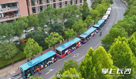 浏阳烟花夜巴士上线 浏阳烟花夜巴士上线