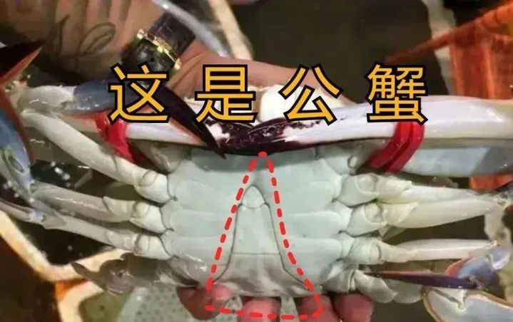 价格大跳水！很多江苏人爱吃