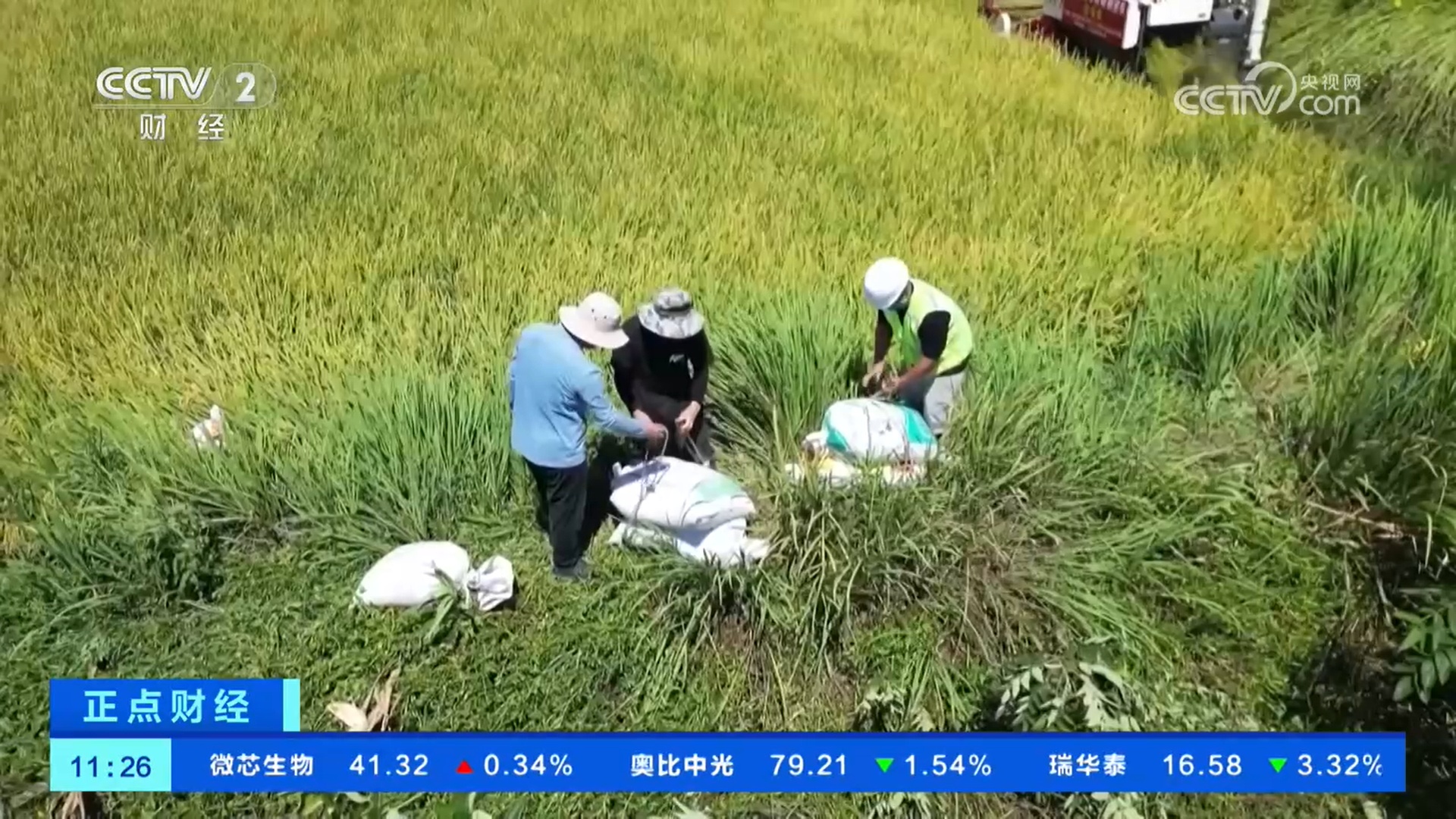 无人机搭建起空中转运通道 助力粮食高效归仓