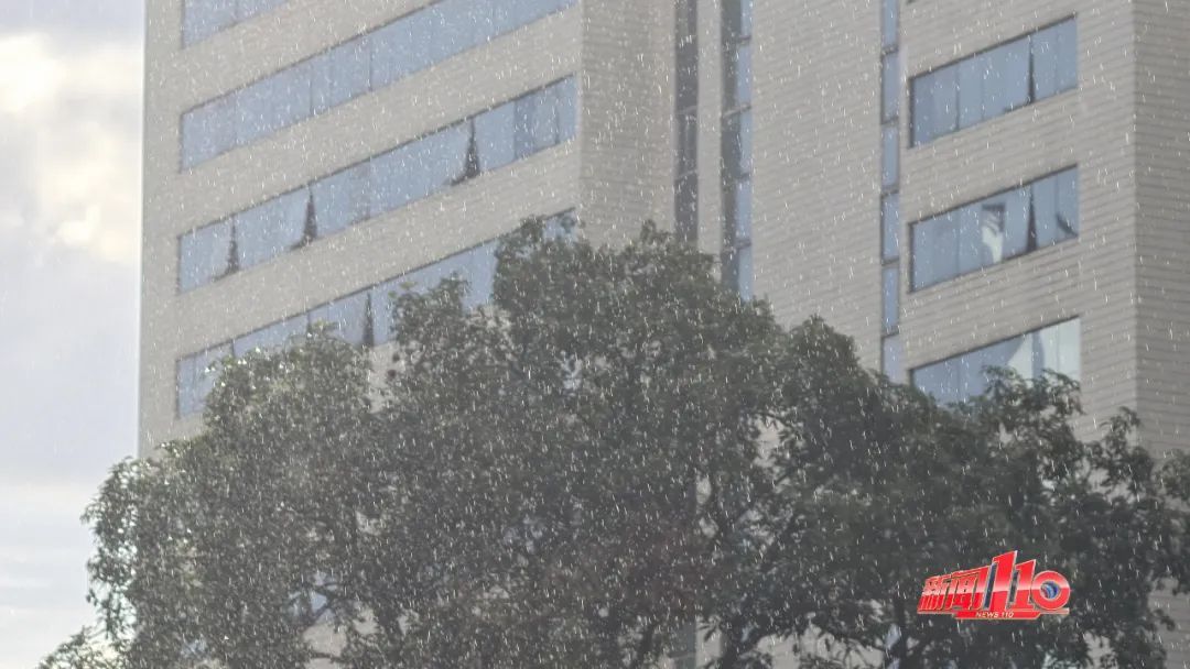 福州终止防台风应急响应!高速部分路段恢复通行 福州终止防台风应急响应!高速部分路段恢复通行