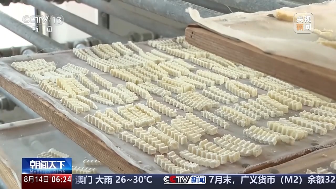 跟着赛事去旅行 “村排”“浙BA”解锁文旅新流量