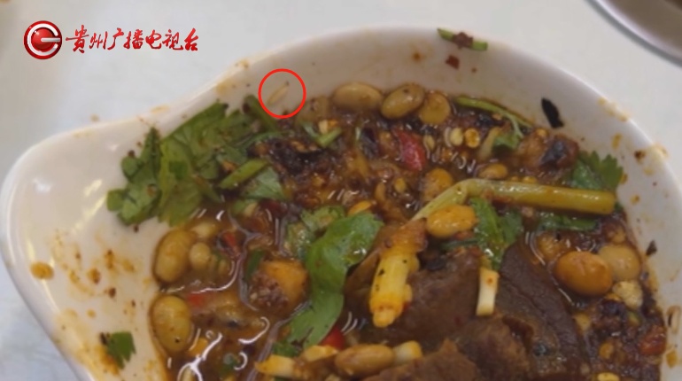 贵阳一女子吃火锅，蘸料碗里活蛆蠕动当场抠吐，商家态度敷衍：这是蛋白质！