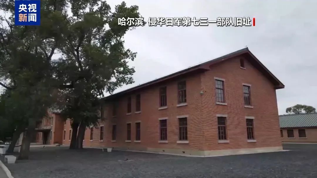 强迫中国人喝病菌水、撒播鼠疫，这场审判还原731部队罪行细节