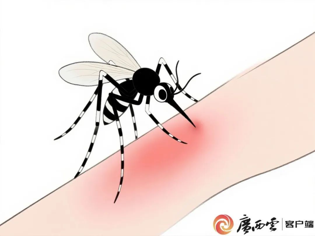 蚊子送来“痛痛礼包”？千万别要！医生专家教你拒收技巧