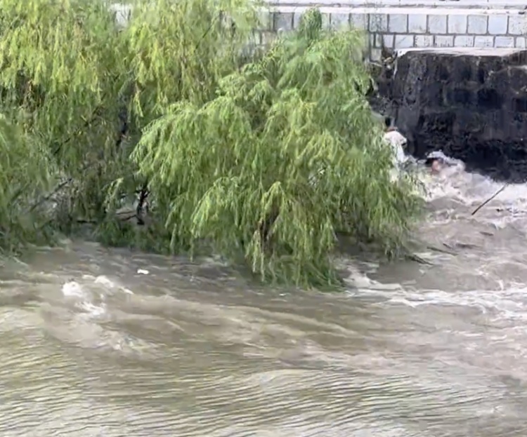 惊险瞬间！4人钱塘江边观潮突遇大浪被卷入水中，抓住树枝得以脱险