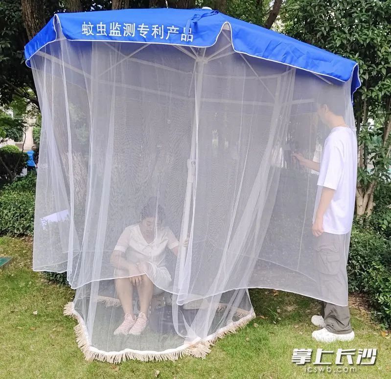 长沙有人“以身诱蚊”？果然没那么简单……