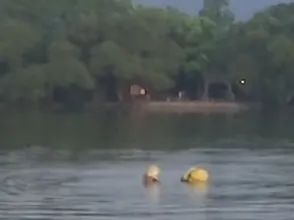 杭州西湖野泳已有65人被罚,景区:西湖禁止游泳,影响救援航线,自身安全也受影响 杭州西湖野泳已有65人被罚,景区:西湖禁止游泳,影响救援航线,自身安全也受影响