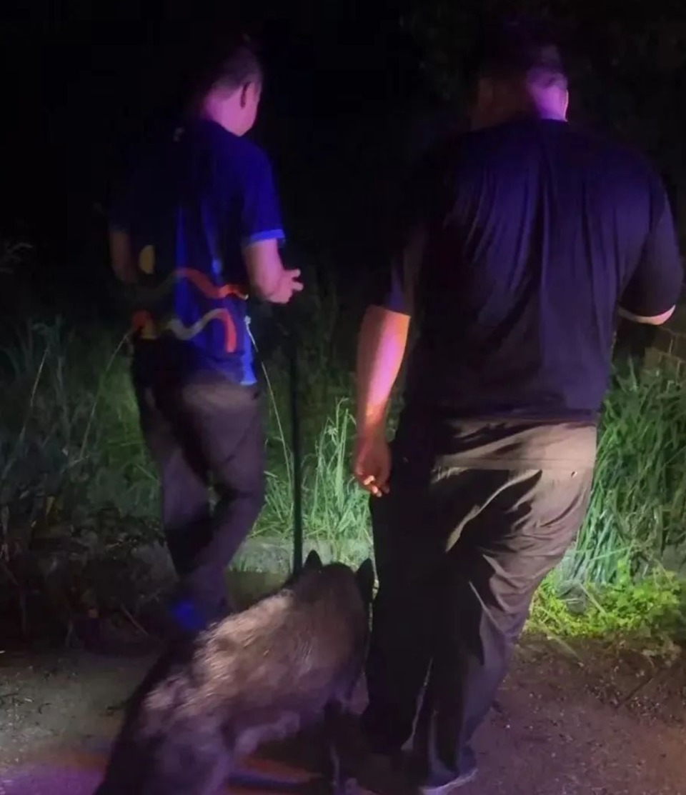 老人深夜消失在大山里，警民合作暴雨中将其找回