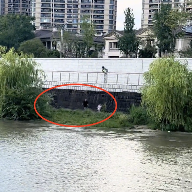 惊险瞬间！4人钱塘江边观潮突遇大浪被卷入水中，抓住树枝得以脱险