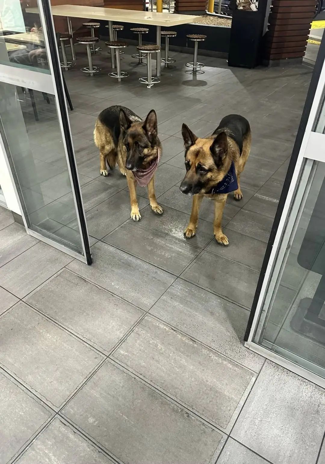 墨尔本一民宅内2人被杀,含一名孕妇!华人邻居:案发地距我只有6米 墨尔本一民宅内2人被杀,含一名孕妇!华人邻居:案发地距我只有6米