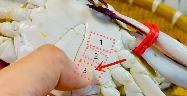 价格大跳水！很多江苏人爱吃