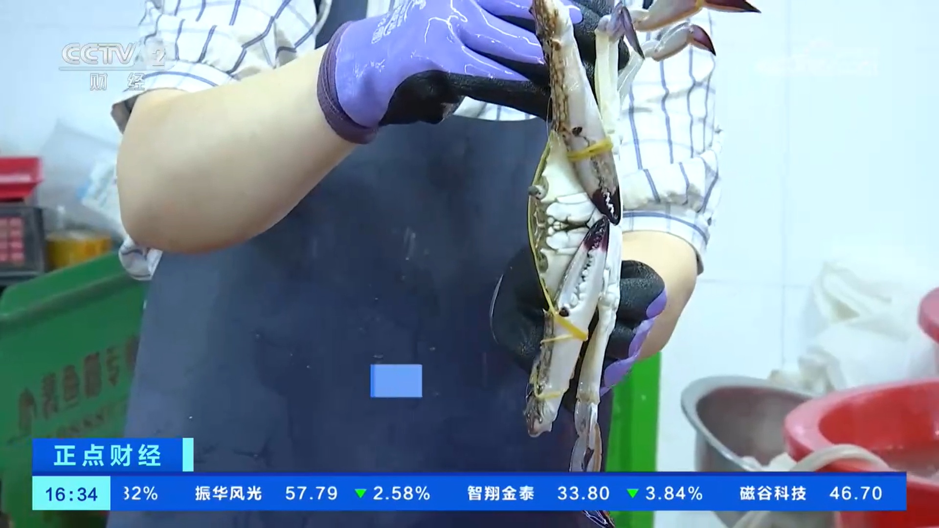 头茬红菱抢“鲜”上市 梭子蟹价廉物美