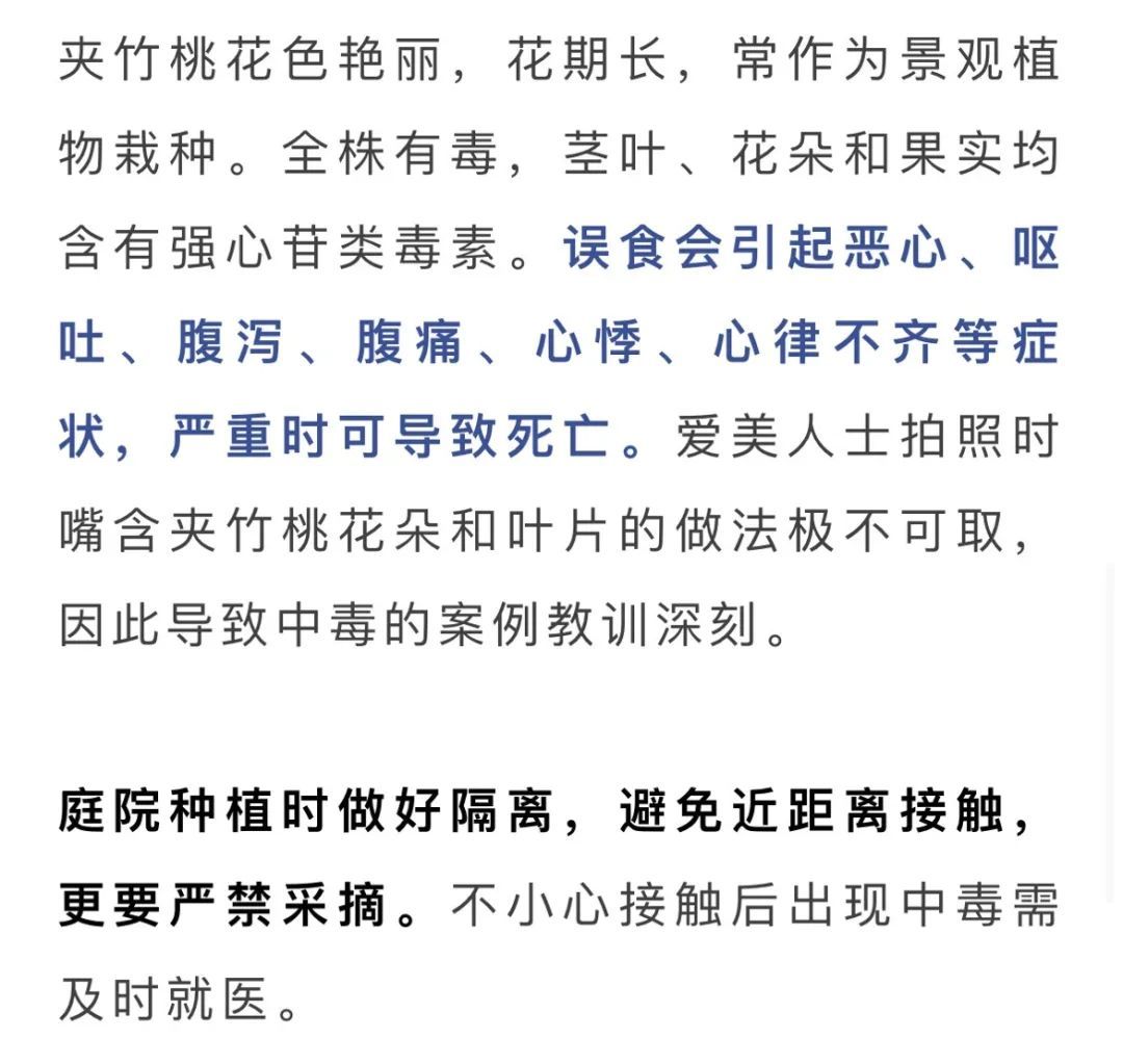 不要碰!不要吃!家里有娃的快自查 不要碰!不要吃!家里有娃的快自查