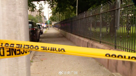 美国一女子陪孩子等公交时遭枪杀