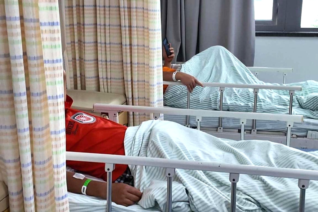 紧急提醒：雨后大量出现！千万别采，更不能吃！