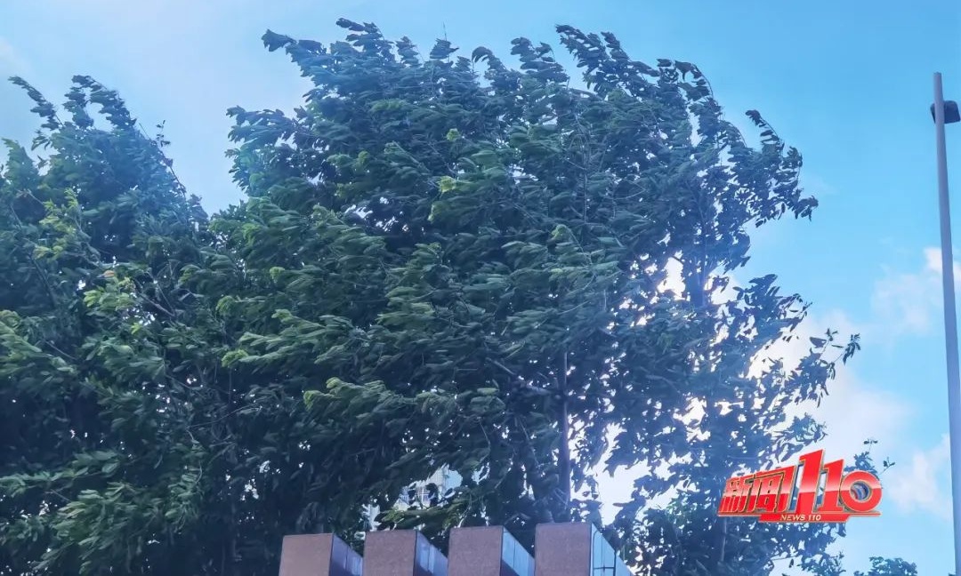 福州终止防台风应急响应!高速部分路段恢复通行 福州终止防台风应急响应!高速部分路段恢复通行