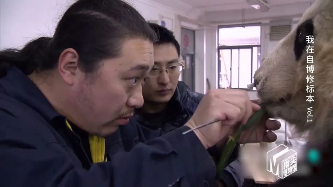 自博馆标本被人摸还被人骑了…为什么不能摸？后果比你想象的严重