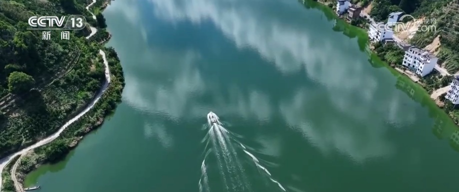 “绿色红利”富了百姓！“两山”理念“绿色密码”让茶园更绿、茶农日子更甜