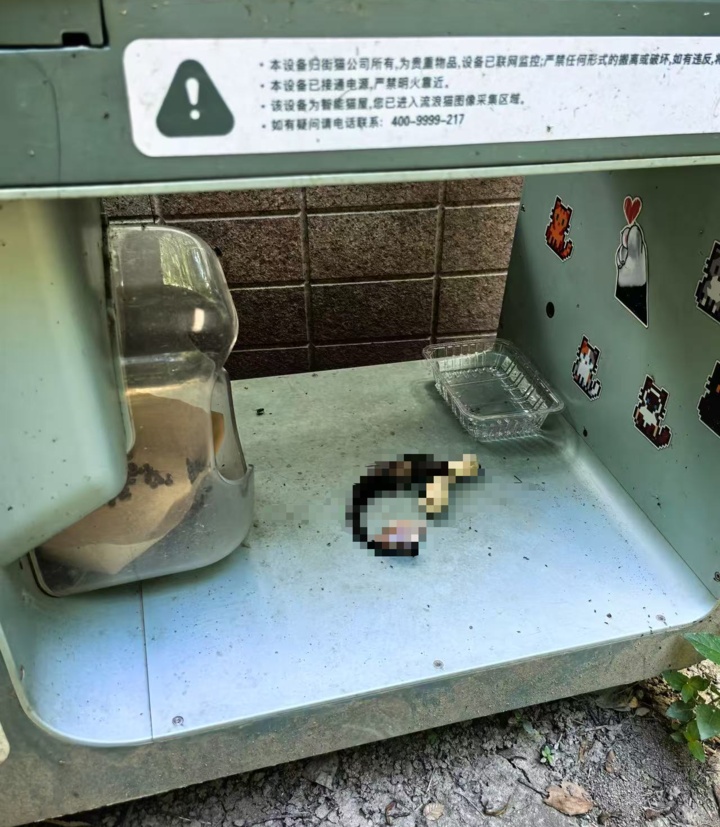 上海宝山一小区猫屋惊现猫尸残骸！运营方称正配合警方调查！居民、律师发声→