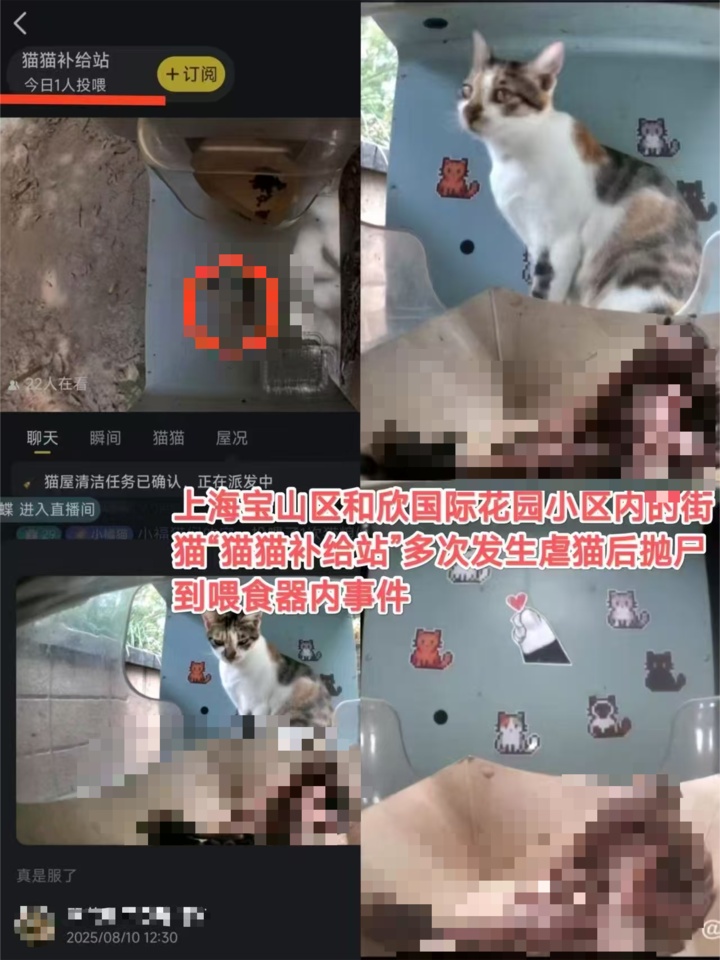 上海宝山一小区猫屋惊现猫尸残骸！运营方称正配合警方调查！居民、律师发声→