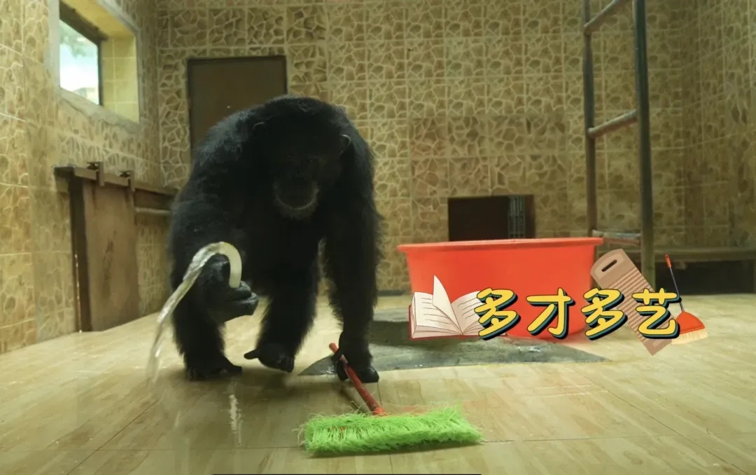 《浪浪山》里，谁才是最佳员工？