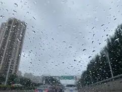 暴雨、大暴雨明天凌晨就到!辽宁周末的雨这样下→ 暴雨、大暴雨明天凌晨就到!辽宁周末的雨这样下→