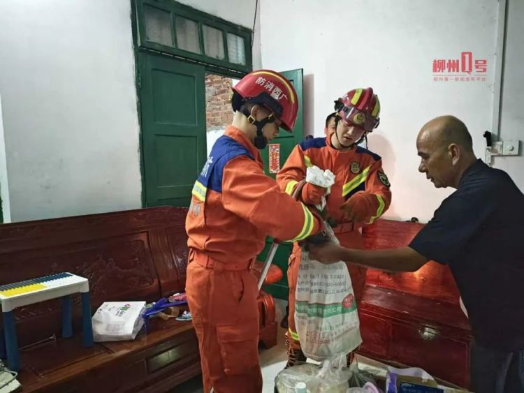 毒蛇进家!柳州两户居民凌晨紧急求助 毒蛇进家!柳州两户居民凌晨紧急求助