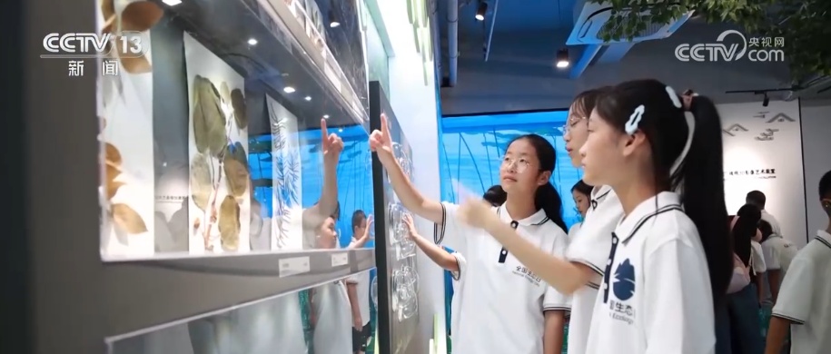 “绿色红利”富了百姓！“两山”理念“绿色密码”让茶园更绿、茶农日子更甜