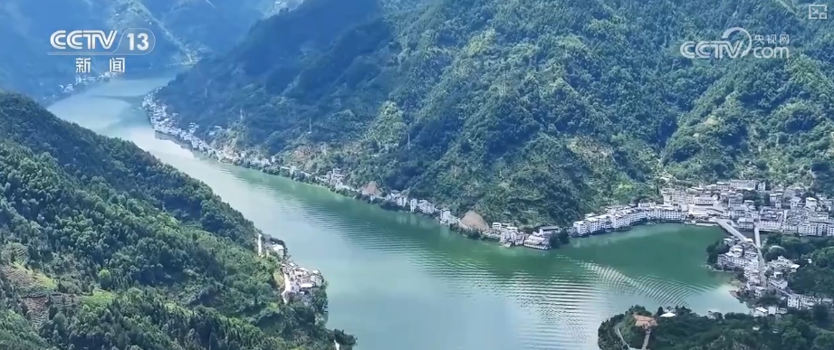 “绿色红利”富了百姓！“两山”理念“绿色密码”让茶园更绿、茶农日子更甜