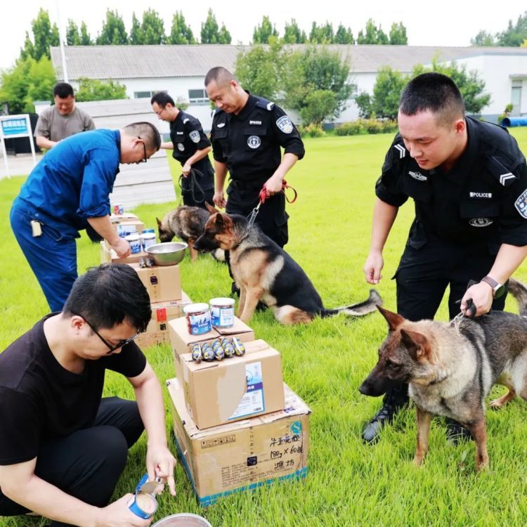 奖励牛肉罐头！老人走失一天两夜未归，三条警犬半小时找回