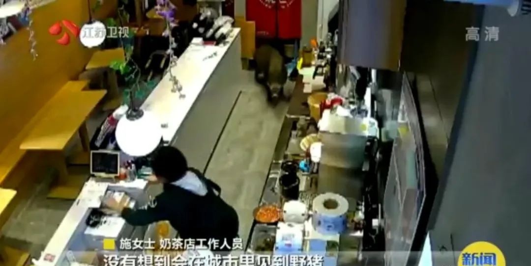 《浪浪山》里，谁才是最佳员工？