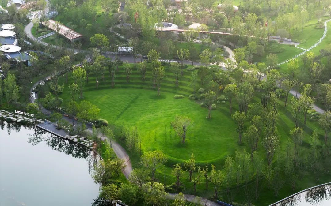 免费门票一抢而空！武汉新增一大型游乐园，即将开放