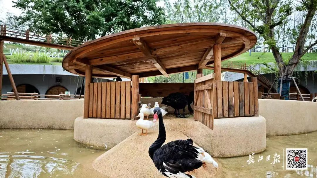 免费门票一抢而空！武汉新增一大型游乐园，即将开放