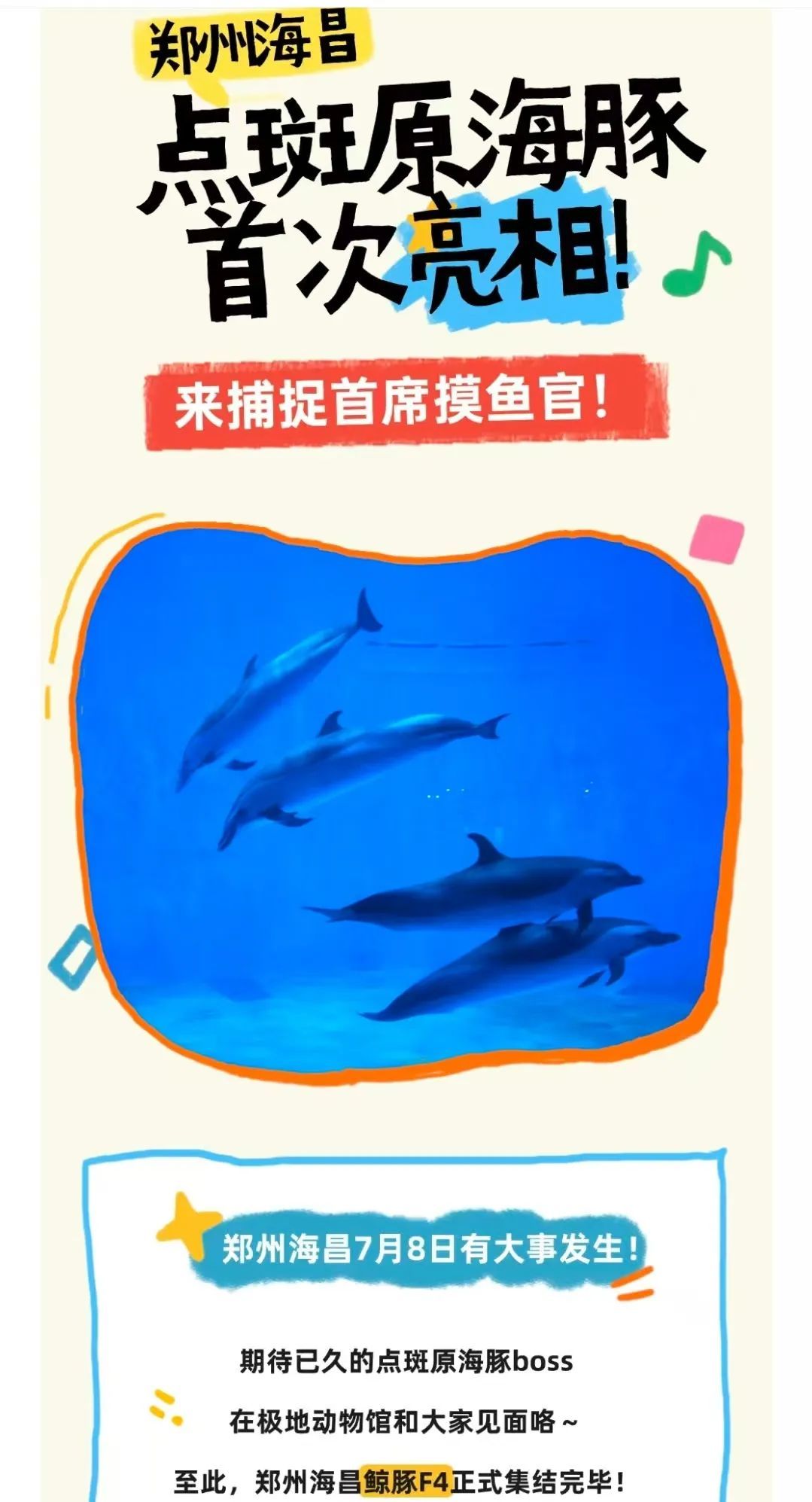 前职工称郑州知名海洋公园长期给海豚用镇静药物，还疑治疗不当致狼崽死亡，多方回应