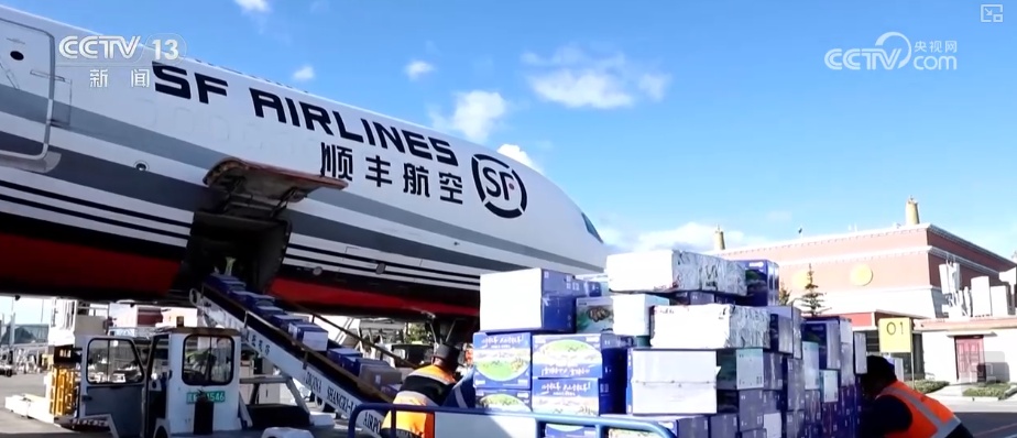 7、24、48，松茸“坐”专线“快跑”！科技“锁鲜”赋能抢“鲜”生意闯出“大市场”