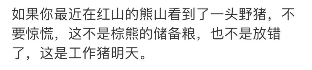 《浪浪山》里，谁才是最佳员工？