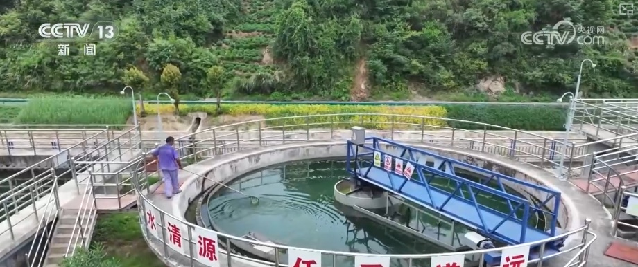 “绿色红利”富了百姓！“两山”理念“绿色密码”让茶园更绿、茶农日子更甜