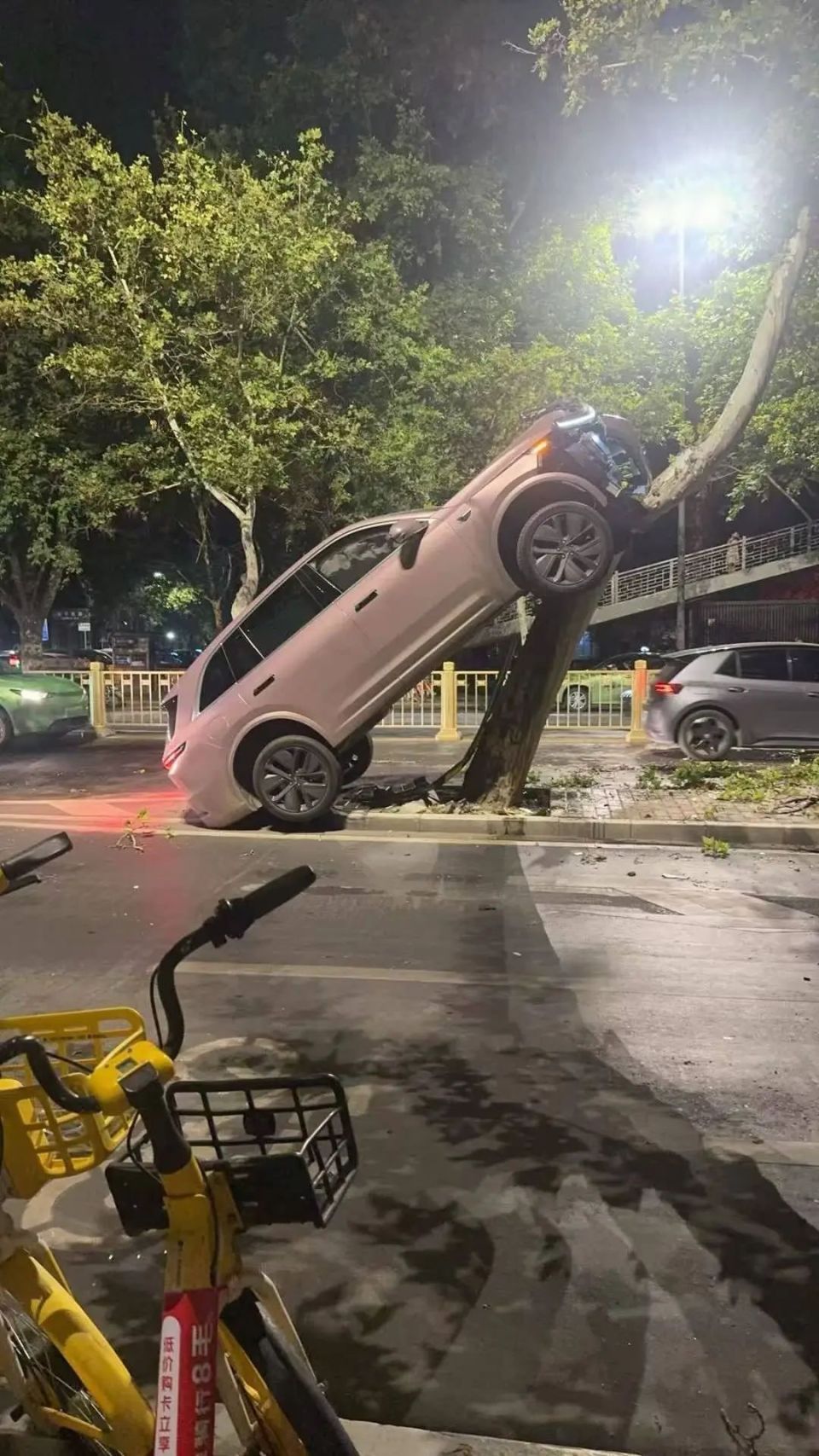 凌晨一声巨响！西安一新能源车开到了树上？交警回应