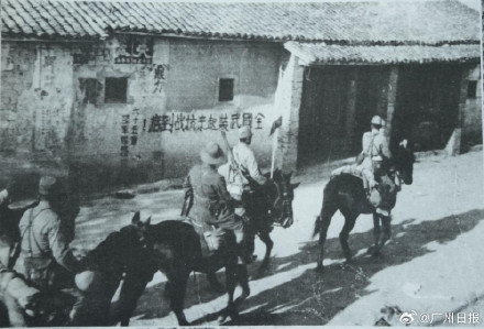 广东不仅有“南京照相馆”还有“东极岛” 广东不仅有“南京照相馆”还有“东极岛”