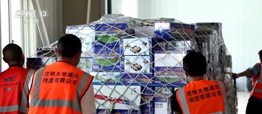 7、24、48，松茸“坐”专线“快跑”！科技“锁鲜”赋能抢“鲜”生意闯出“大市场”