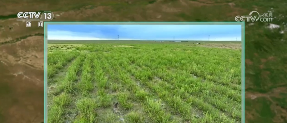 科技“啃出”绿色奇迹！卫星视角“瞰变化” 探秘从黄沙漫天到绿意蔓延的蜕变