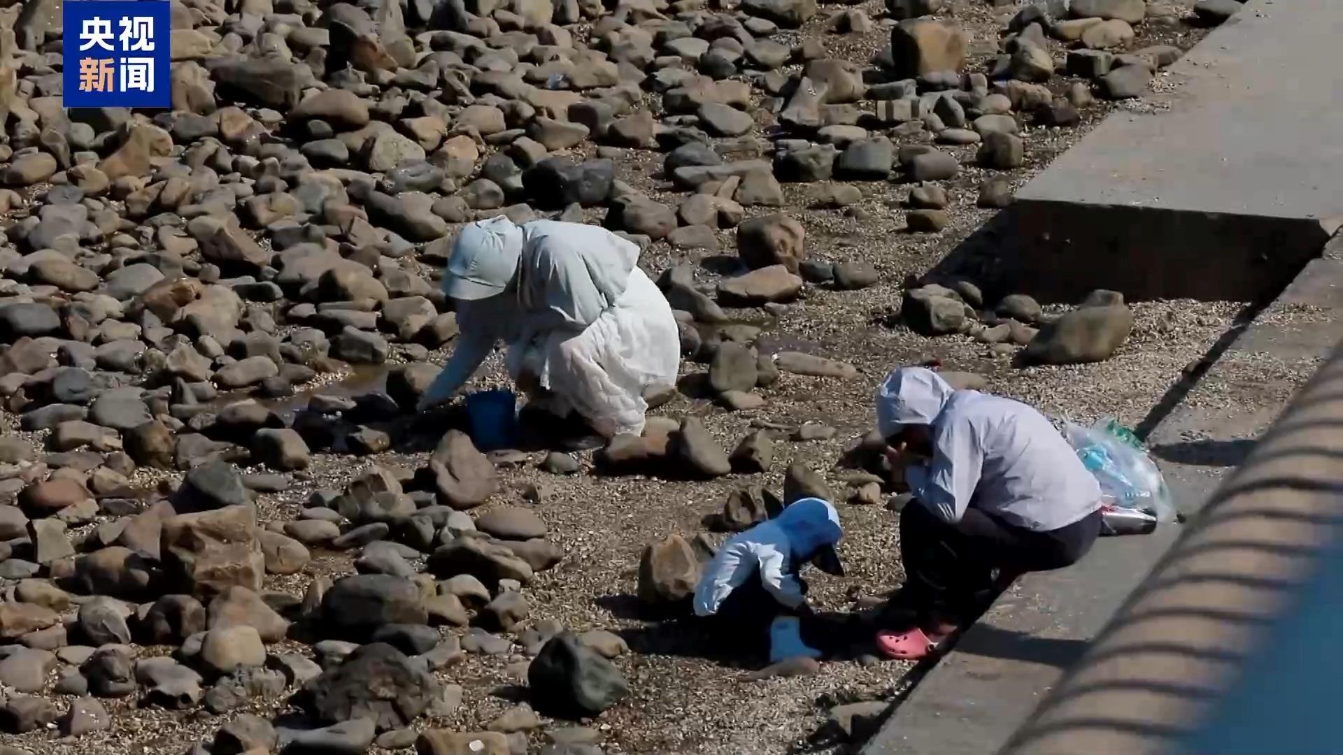 为追跳跳鱼，一男子被“封印”在海滩上 赶海时，这些事项要注意