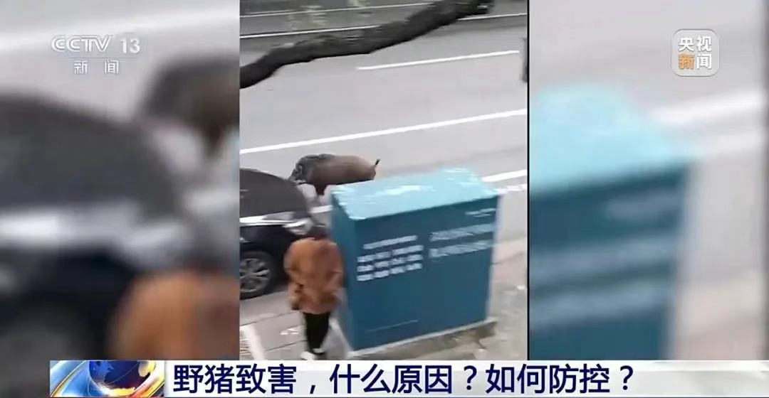 《浪浪山》里，谁才是最佳员工？