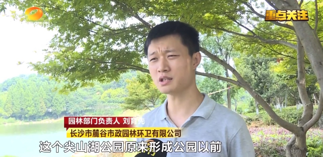 长沙一男子清晨公园野泳意外溺亡,悲剧再敲安全警钟! 长沙一男子清晨公园野泳意外溺亡,悲剧再敲安全警钟!