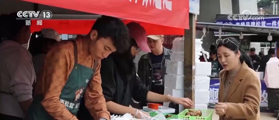 7、24、48，松茸“坐”专线“快跑”！科技“锁鲜”赋能抢“鲜”生意闯出“大市场”